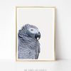 Parrot Tropical Wall Art (Photo 5 of 15)