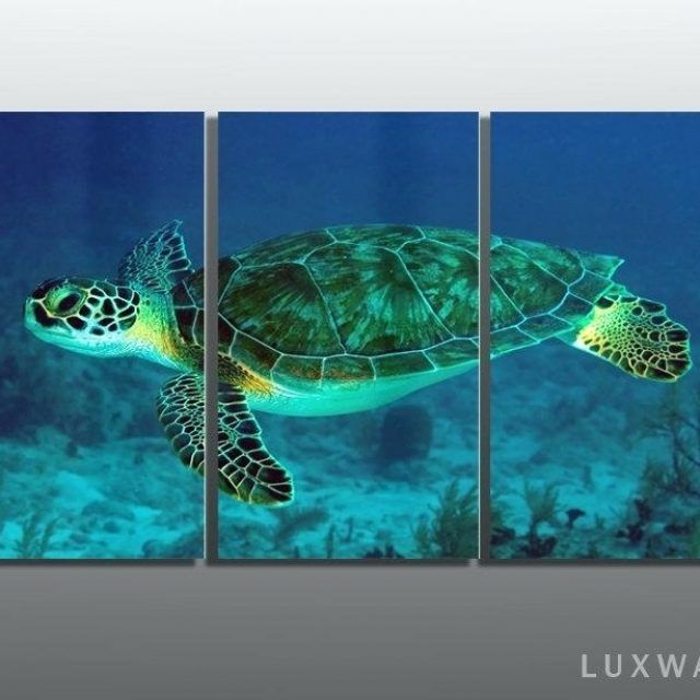 25 Best Ideas Sea Turtle Canvas Wall Art