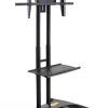 Easyfashion Adjustable Rolling Tv Stands for Flat Panel Tvs (Photo 14 of 15)