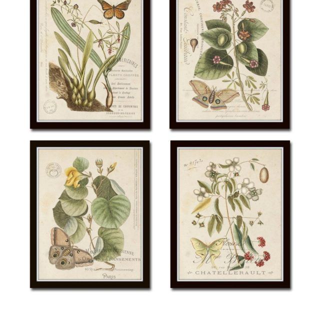 20 Ideas of Botanical Prints Etsy