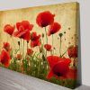 Red Poppy Canvas Wall Art (Photo 8 of 20)