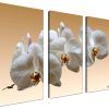 Orchid Canvas Wall Art (Photo 1 of 15)