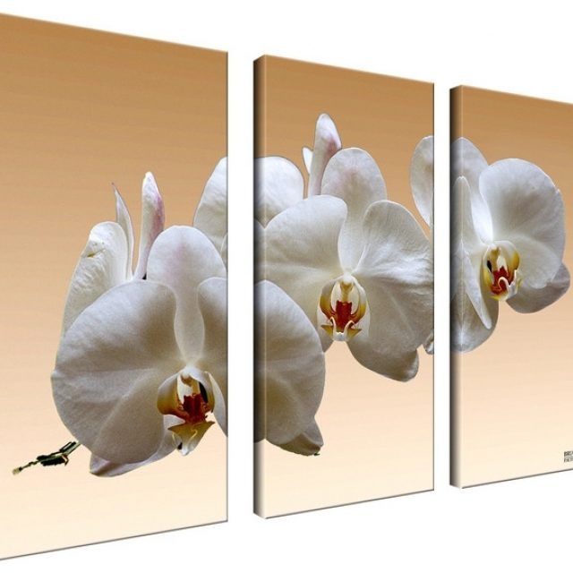 2024 Best of Orchid Canvas Wall Art