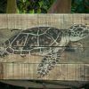 Outdoor Metal Turtle Wall Art (Photo 20 of 20)