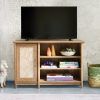 Dual-Use Storage Cabinet Tv Stands (Photo 15 of 15)