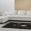 Sectional Sofas in White (Photo 10 of 15)
