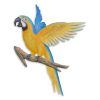 Bird Macaw Wall Sculpture (Photo 10 of 15)