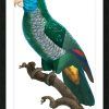 Parrot Tropical Wall Art (Photo 6 of 15)