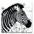 The 25 Best Collection of Zebra Canvas Wall Art